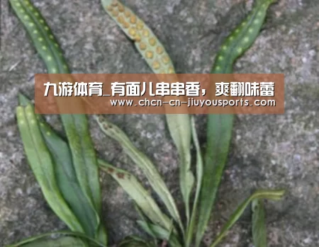 九游体育_有面儿串串香,爽翻味蕾(图2) 九游体育
